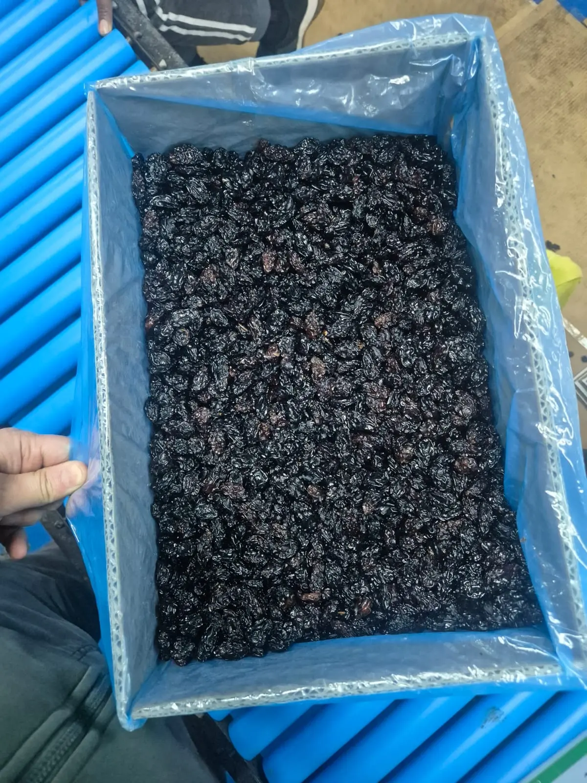 Black Seedless — Black raisin