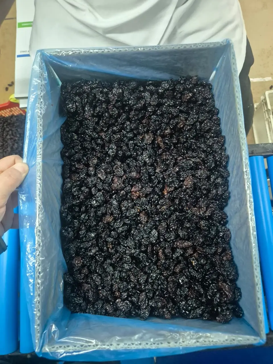 Black Seedless raisins packed in an export box