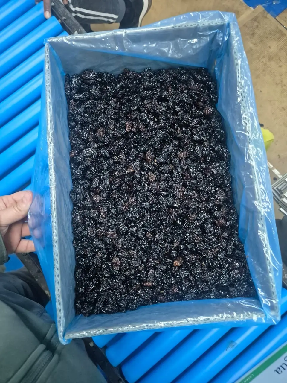 Black Seedless raisins packed in an export box