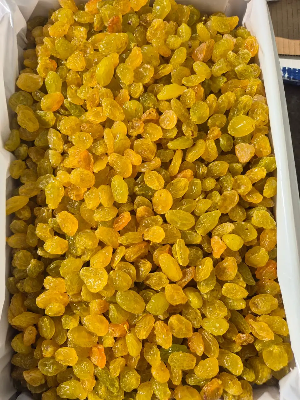Golden raisins packed in an export box