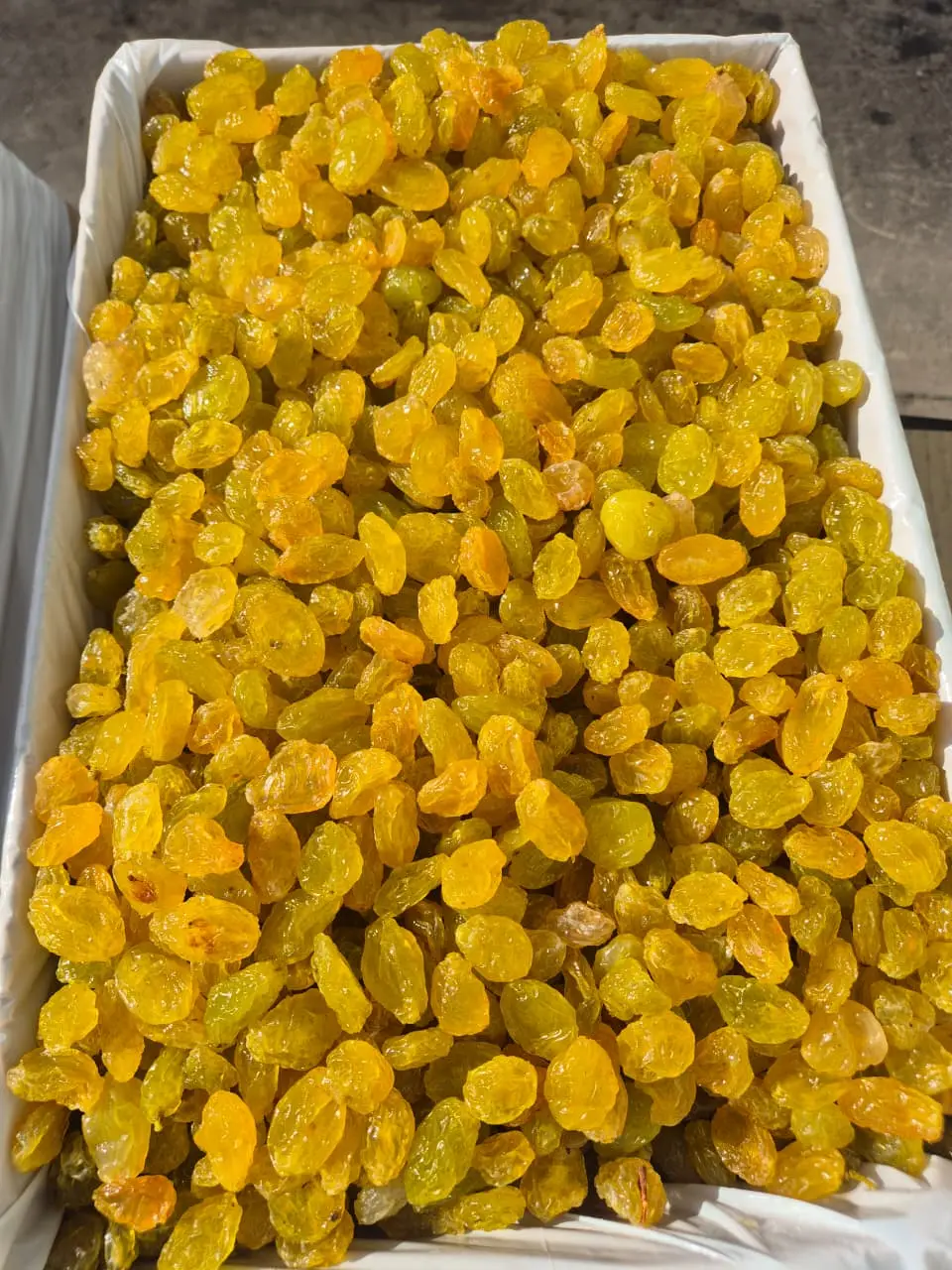 Golden raisins packed in an export box