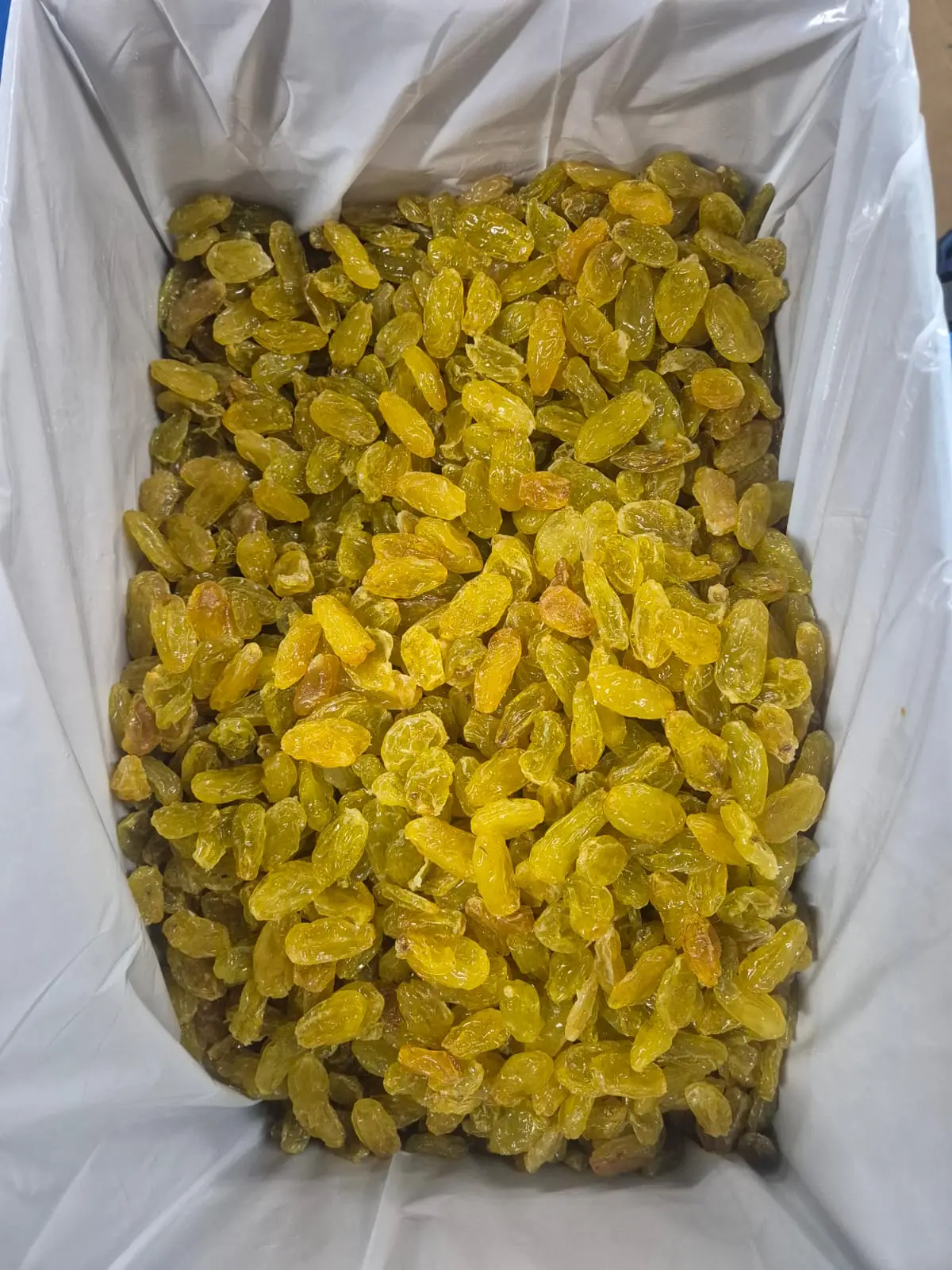 Golden raisins packed in an export box