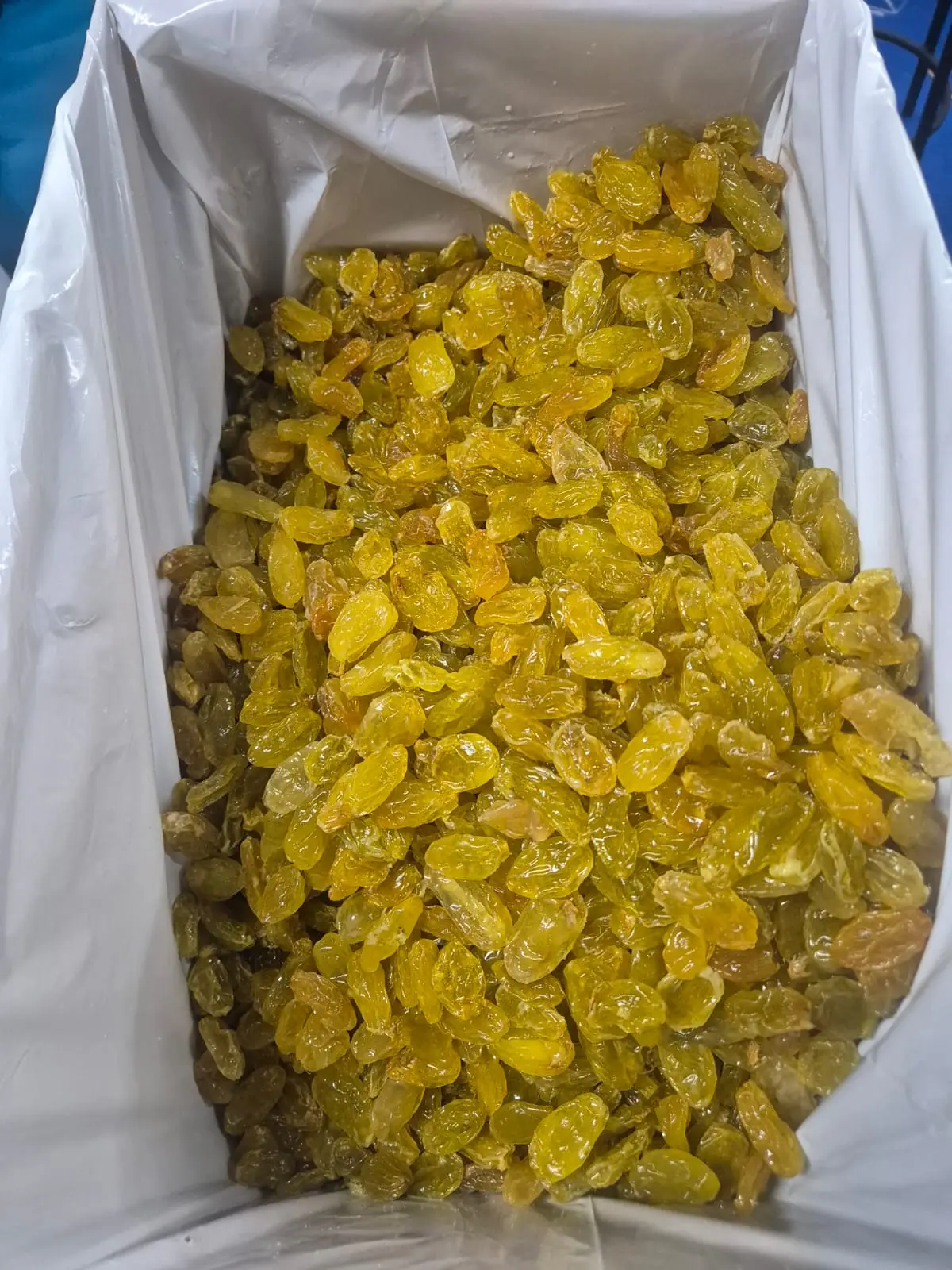 Golden raisins packed in an export box