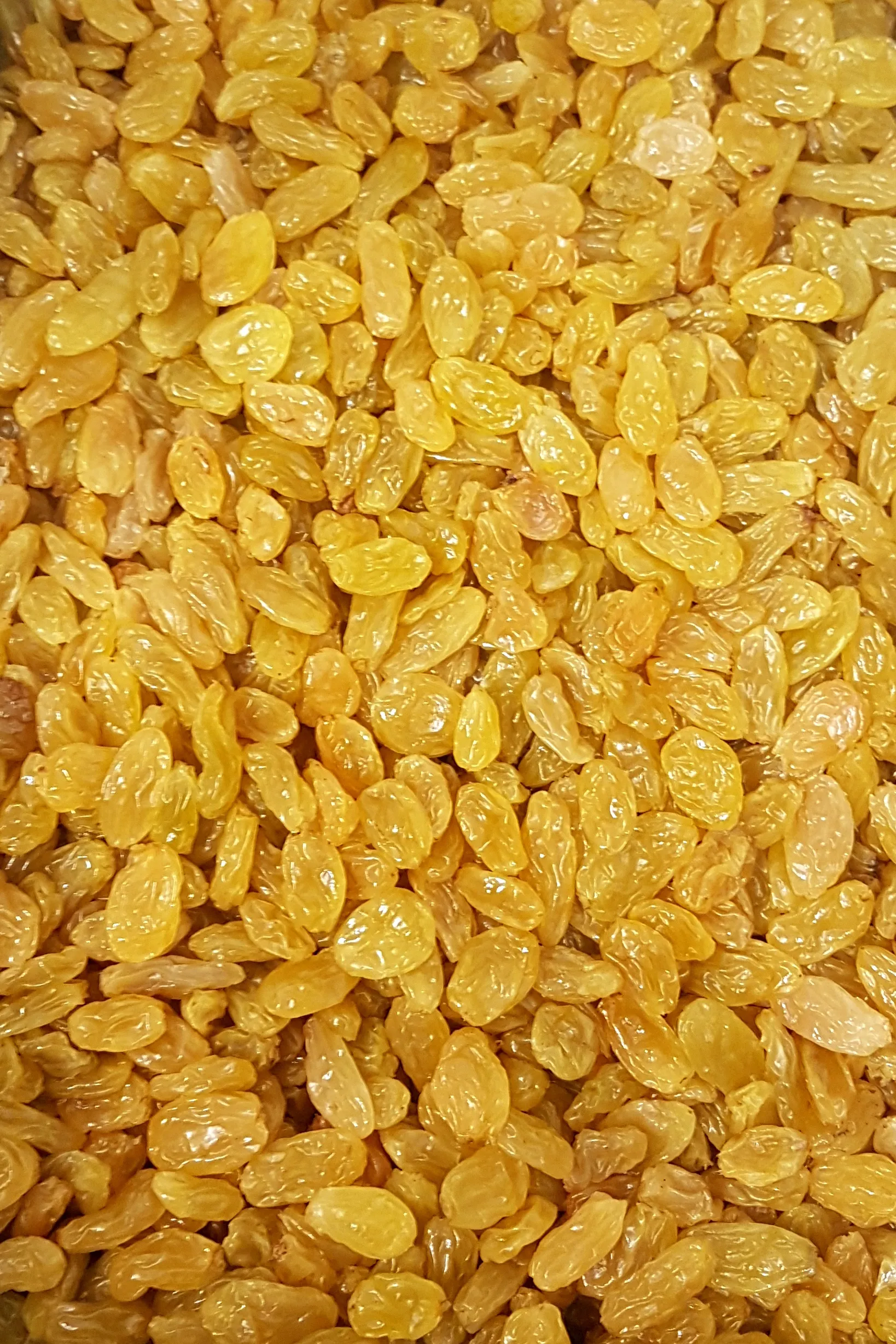 Golden raisins packed in an export box