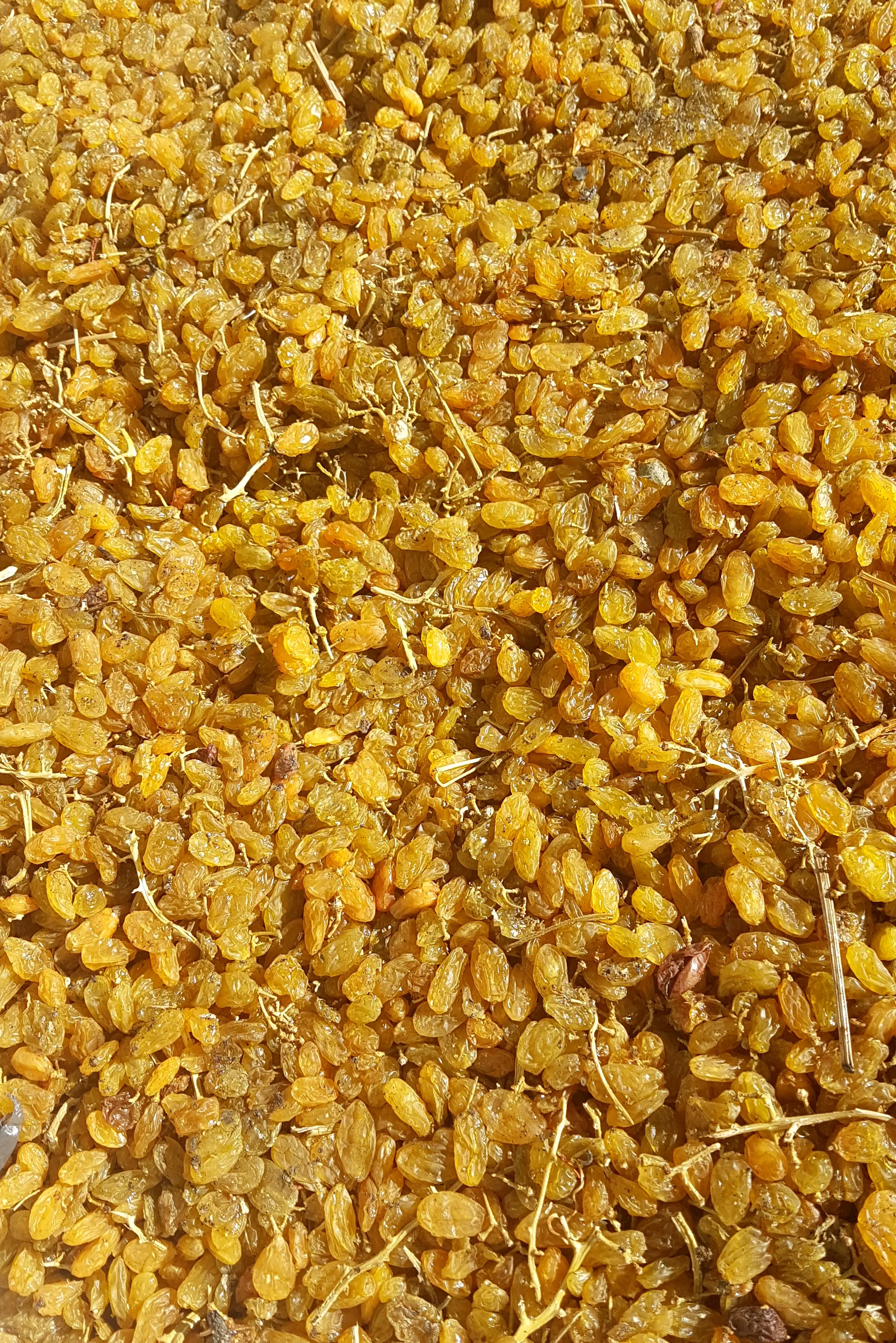 Golden raw material before processing