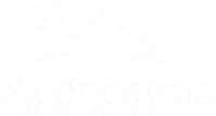 Aconcagua Raisins