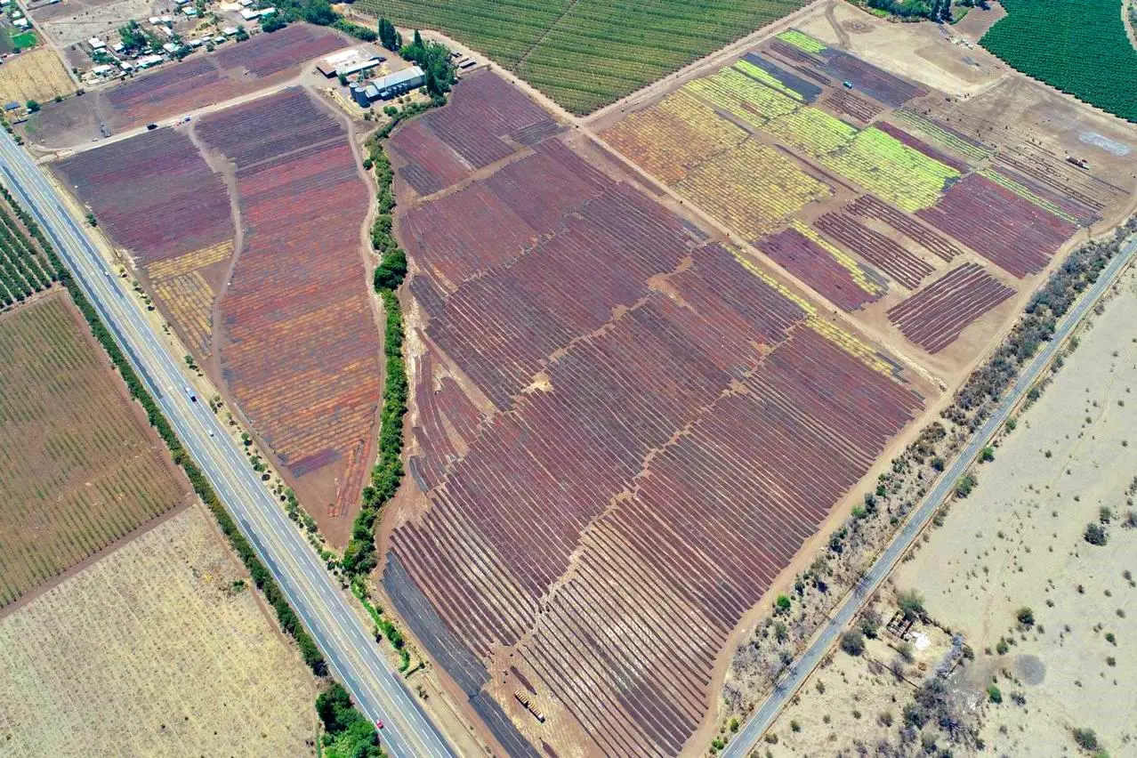 Aerial view of the drying grounds