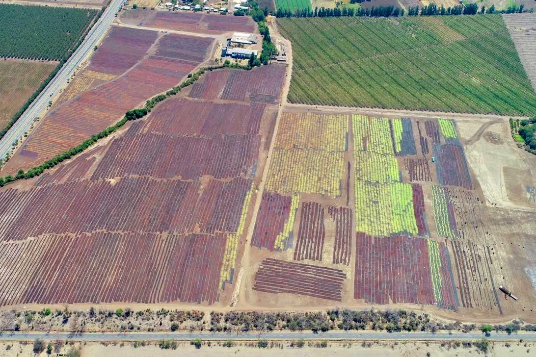 Aerial view of the drying grounds